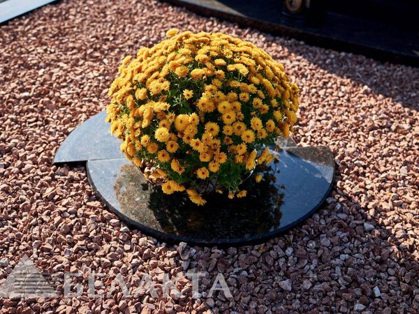 Аксессуары