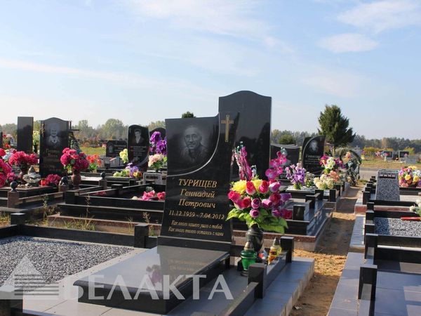 Памятники одиночные